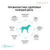 Premier Dog Lamb&Turkey ADULT Maxi (Свежее мясо ягненка с индейкой для собак крупных пород) 10 кг - 