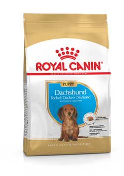 Royal Canin Dachshund Puppy сухой корм для щенков породы такса до 10-ти месяцев 