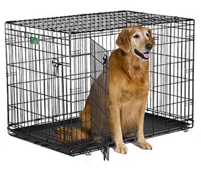 Клетка Midwest iCrate металлическая двухдверная чёрная Прочная и удобная двухдверная стальная клетка для собак с пластиковым поддоном и разделительной панелью.