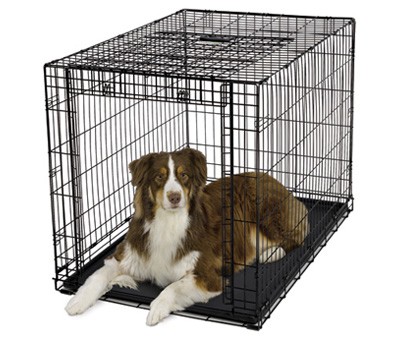 Клетка Midwest Ovation металлическая однодверная чёрная 79х49х55 см Прочная и удобная стальная клетка для собак с пластиковым поддоном и дверью, открывающейся вверх.