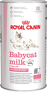 Royal Canin Babycat Milk заменитель материнского молока для котят  