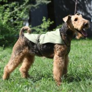 Osso Fashion охлаждающая попона для собак
