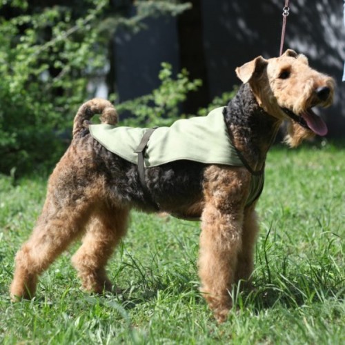 Osso Fashion охлаждающая попона для собак Попона помогает собакам переносить жару, делает более комфортным их пребывание в душной квартире, в транспорте и на выставках.