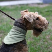 Osso Fashion охлаждающая косынка для собак